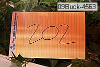 09buck-4563 proof