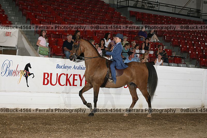 Proof 09buck-4564