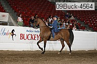 09buck-4564 proof