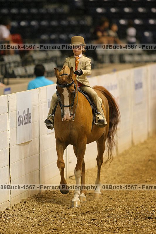 Proof 09buck-4567