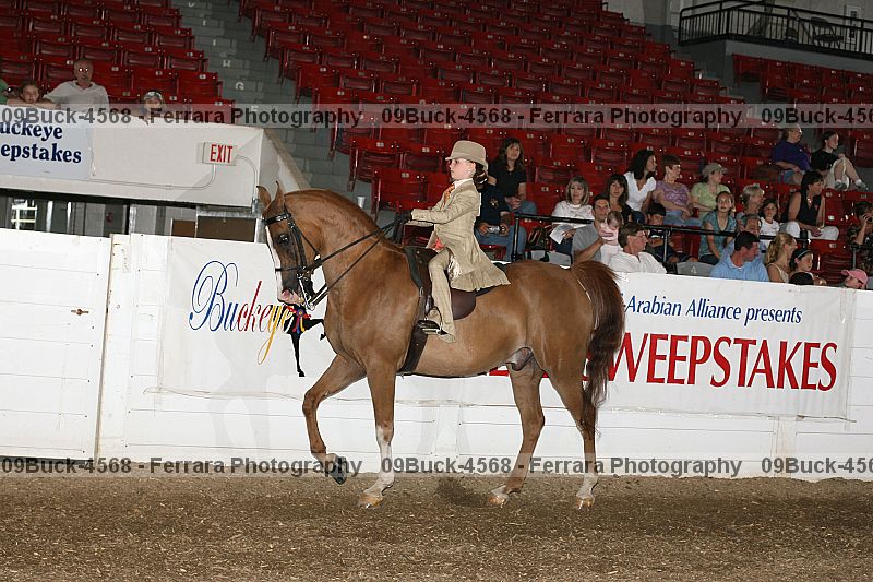 Proof 09buck-4568
