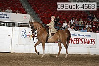 09buck-4568 proof