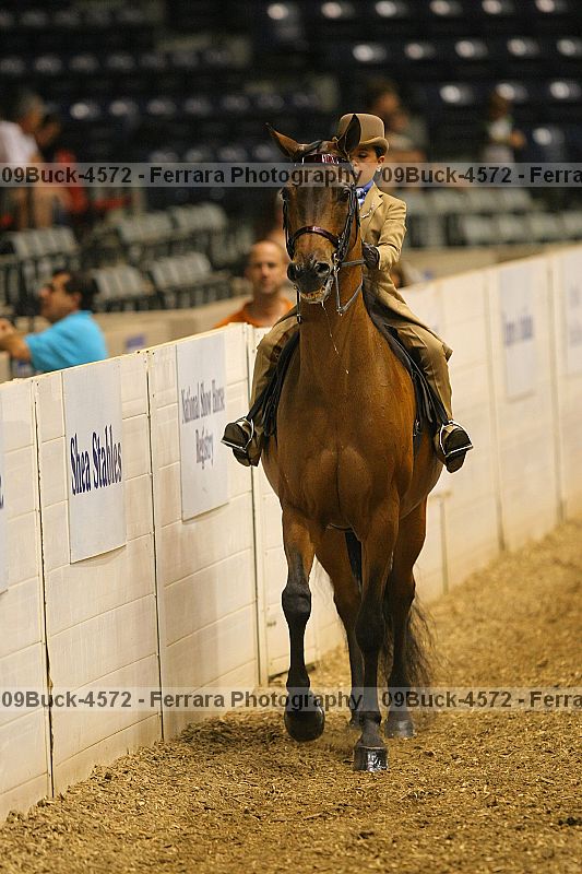 Proof 09buck-4572