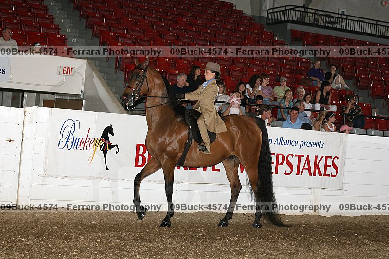 Proof 09buck-4574