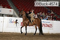 09buck-4574 proof