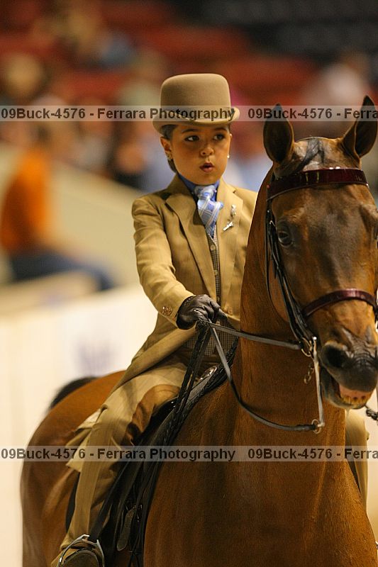 Proof 09buck-4576