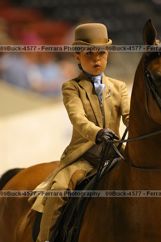 Proof 09buck-4577