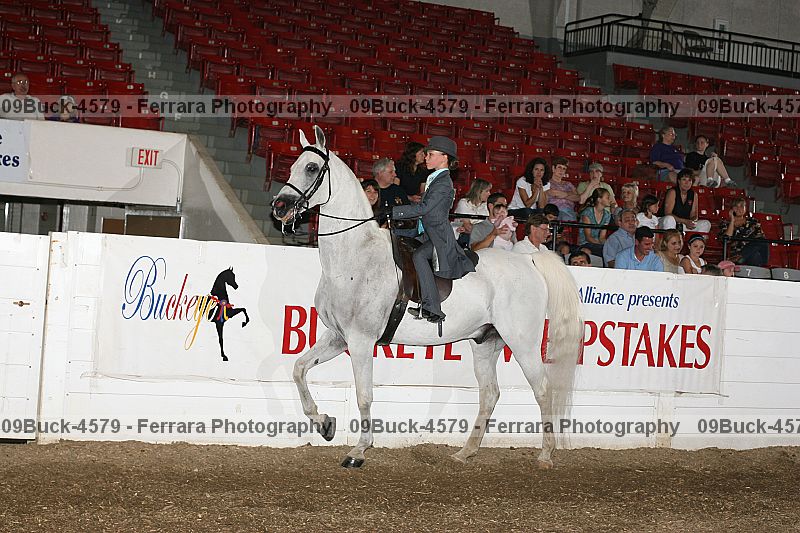 Proof 09buck-4579