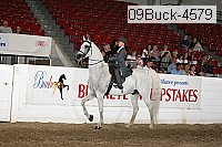 09buck-4579 proof