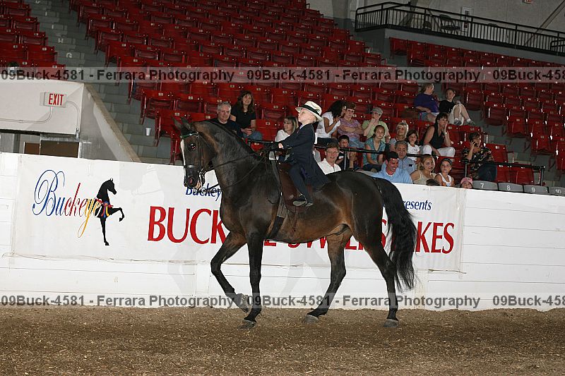 Proof 09buck-4581