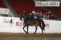 09buck-4581 proof