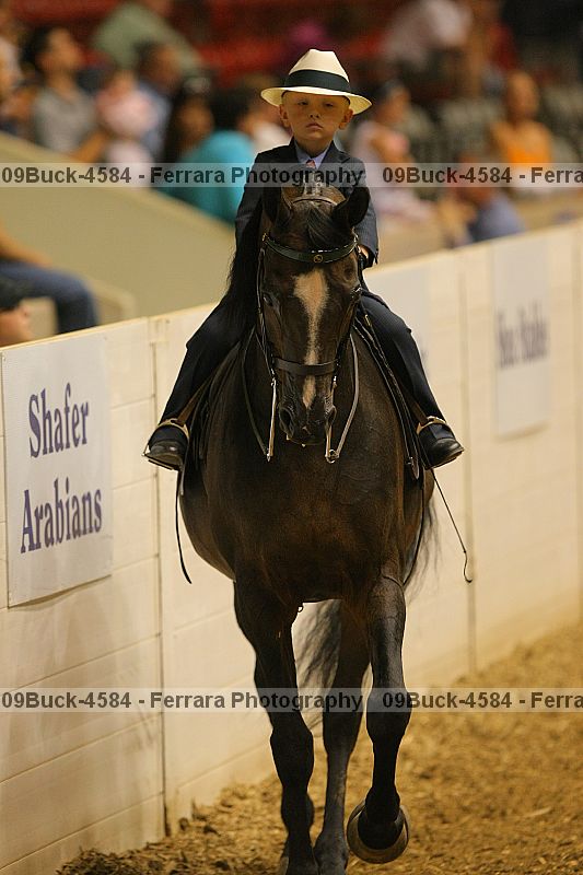 Proof 09buck-4584