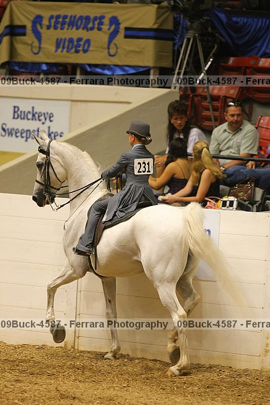 Proof 09buck-4587