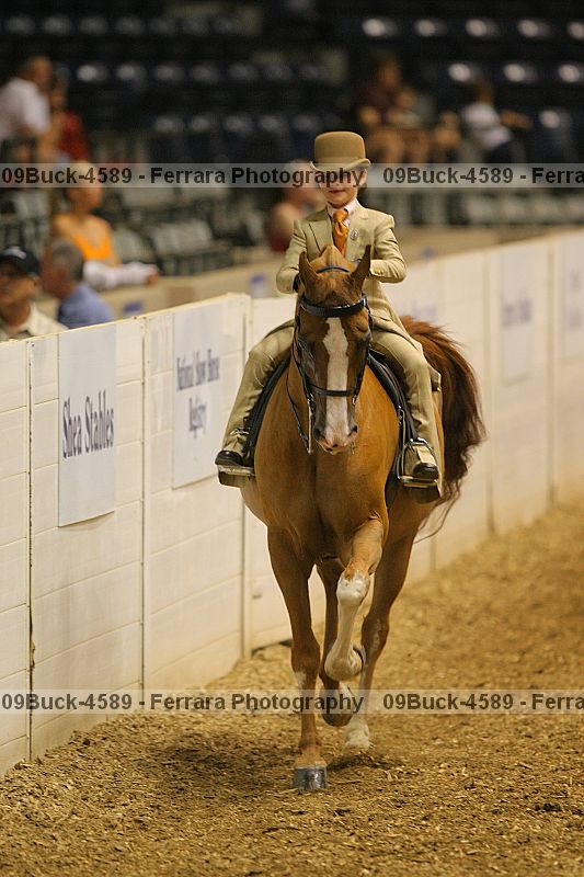 Proof 09buck-4589