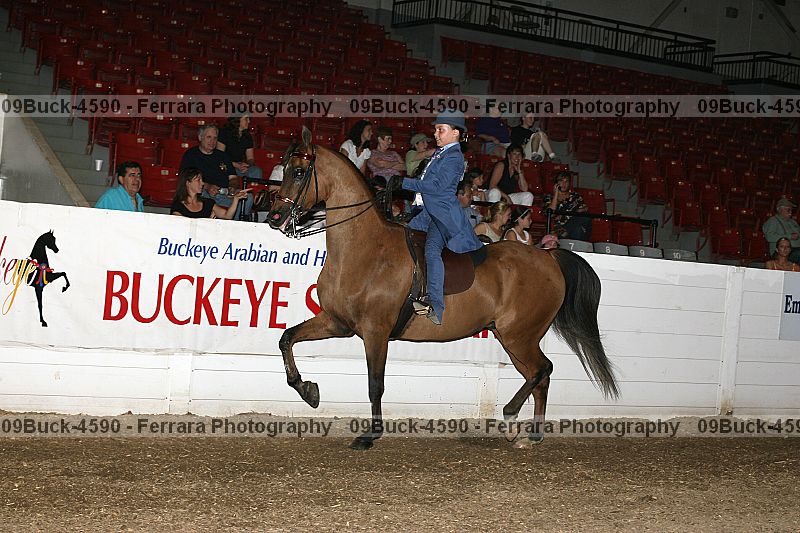 Proof 09buck-4590
