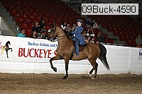 09buck-4590 proof