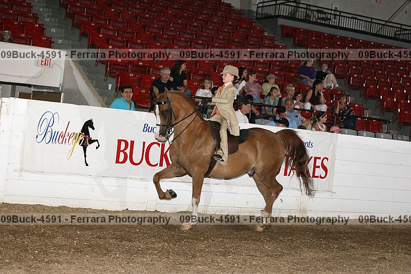 Proof 09buck-4591