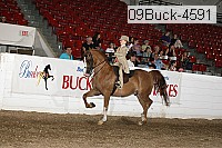 09buck-4591 proof