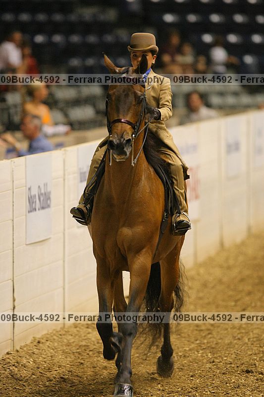 Proof 09buck-4592