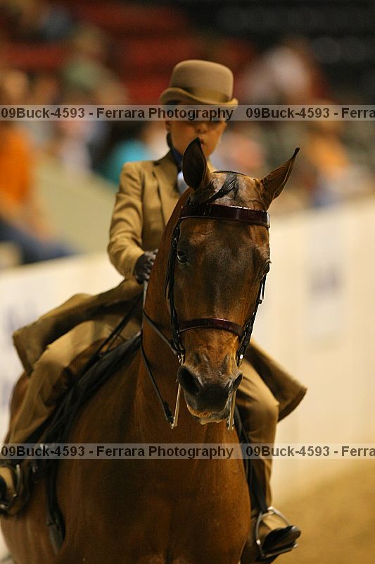 Proof 09buck-4593