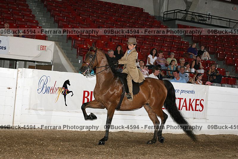 Proof 09buck-4594