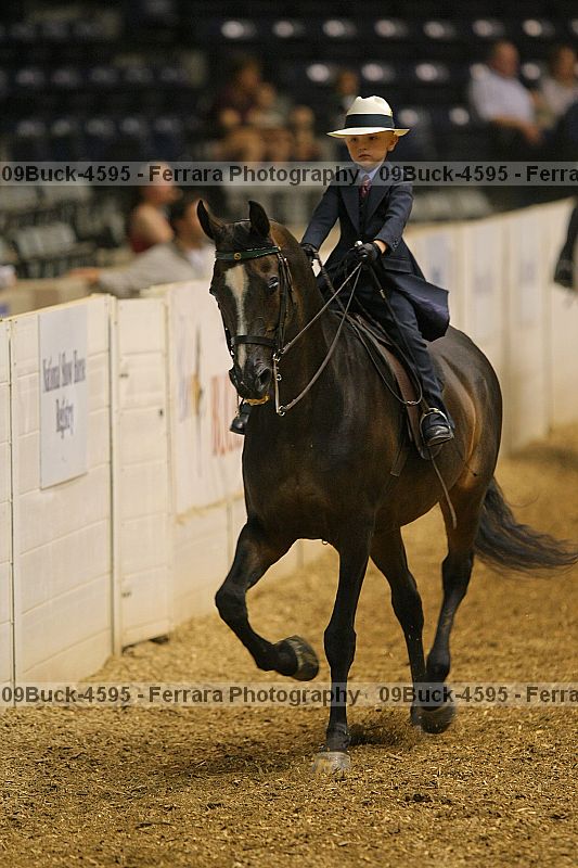 Proof 09buck-4595
