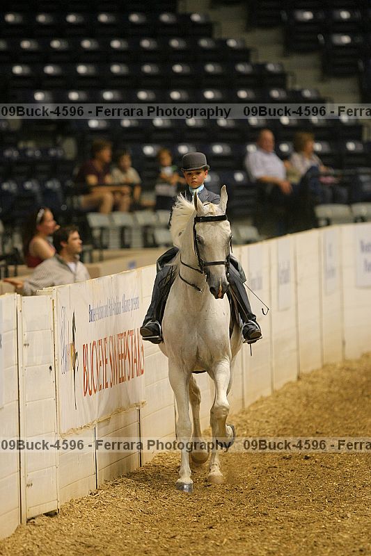 Proof 09buck-4596