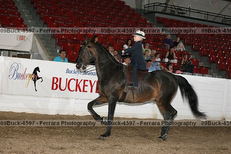 Proof 09buck-4597