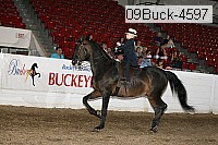 09buck-4597 proof
