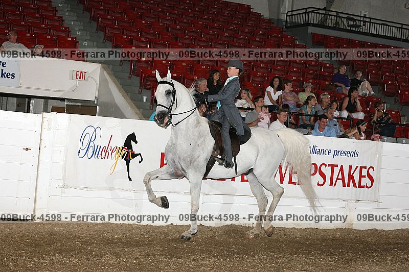 Proof 09buck-4598