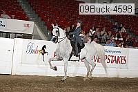 09buck-4598 proof