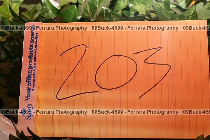 Proof 09buck-4599