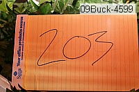 09buck-4599 proof