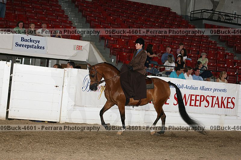 Proof 09buck-4601