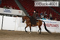 09buck-4601 proof