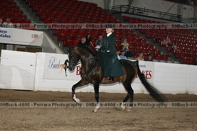 Proof 09buck-4606