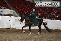 09buck-4606 proof