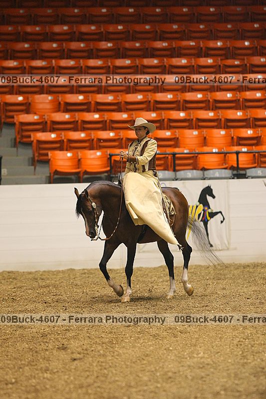 Proof 09buck-4607
