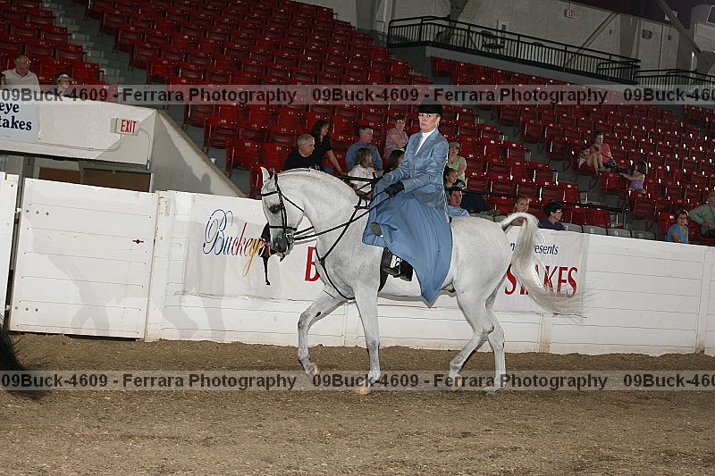 Proof 09buck-4609
