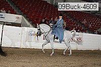 09buck-4609 proof