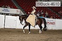 09buck-4610 proof