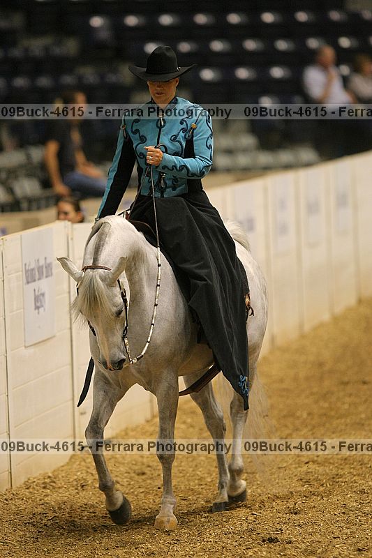 Proof 09buck-4615