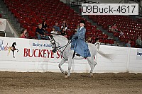 09buck-4617 proof