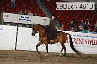 09buck-4618 proof