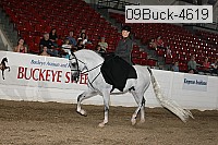 09buck-4619 proof