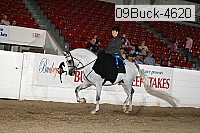 09buck-4620 proof