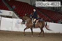09buck-4623 proof