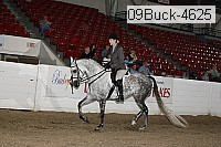09buck-4625 proof