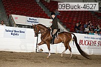 09buck-4627 proof