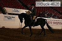 09buck-4628 proof